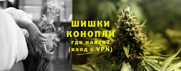 МДПВ Мегион