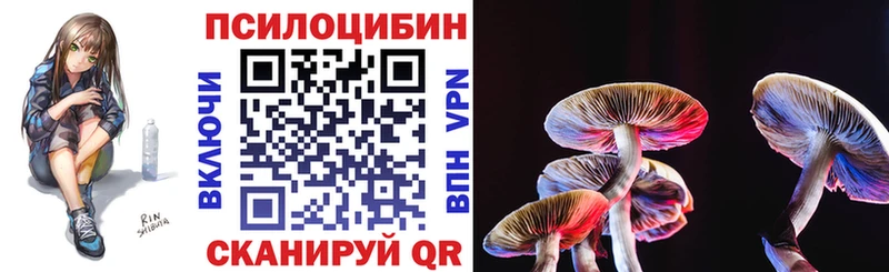 дарнет шоп  Якутск  Галлюциногенные грибы Magic Shrooms 